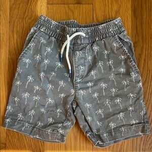 Boys shorts with Palm Trees